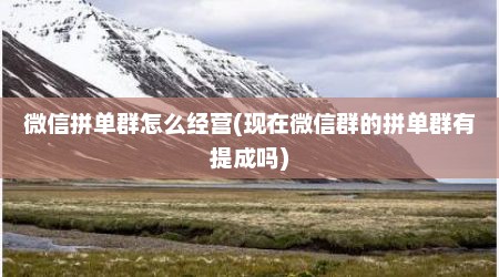 微信拼单群怎么经营(现在微信群的拼单群有提成吗)