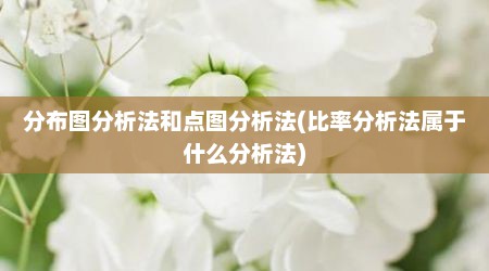 分布图分析法和点图分析法(比率分析法属于什么分析法)