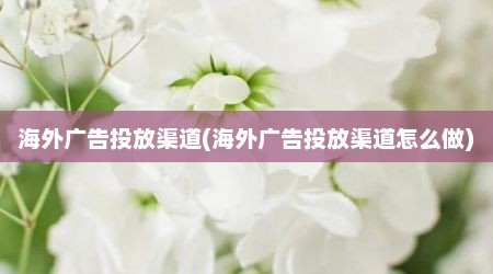 海外广告投放渠道(海外广告投放渠道怎么做)