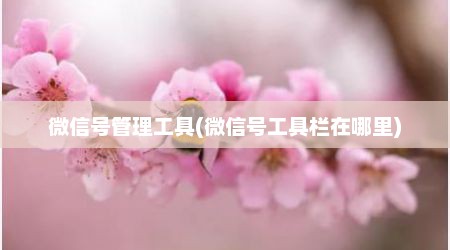 微信号管理工具(微信号工具栏在哪里)