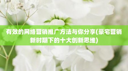 有效的网络营销推广方法与你分享(豪宅营销新时期下的十大创新思维)