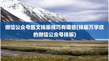 微信公众号图文排版技巧有哪些(排版万字纹的微信公众号排版)