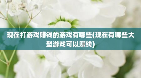 现在打游戏赚钱的游戏有哪些(现在有哪些大型游戏可以赚钱)