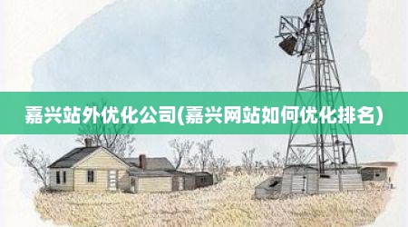嘉兴站外优化公司(嘉兴网站如何优化排名)