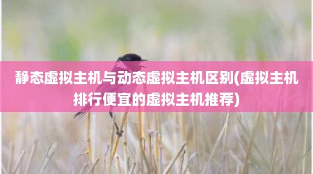 静态虚拟主机与动态虚拟主机区别(虚拟主机排行便宜的虚拟主机推荐)