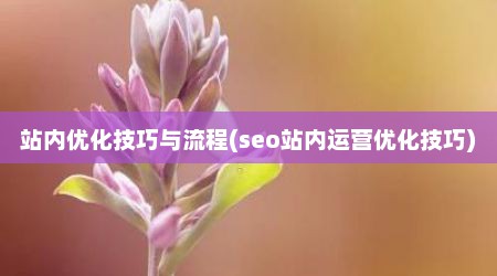 站内优化技巧与流程(seo站内运营优化技巧)
