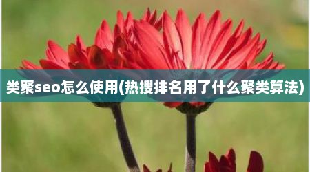 类聚seo怎么使用(热搜排名用了什么聚类算法)