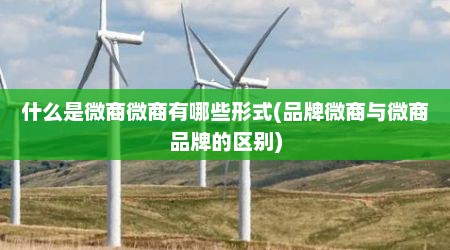 什么是微商微商有哪些形式(品牌微商与微商品牌的区别)