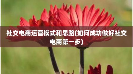 社交电商运营模式和思路(如何成功做好社交电商第一步)