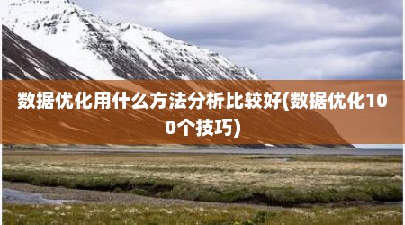 数据优化用什么方法分析比较好(数据优化100个技巧)