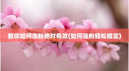 教你如何涨粉绝对有效(如何涨粉轻松搞定)