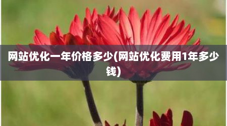 网站优化一年价格多少(网站优化费用1年多少钱)