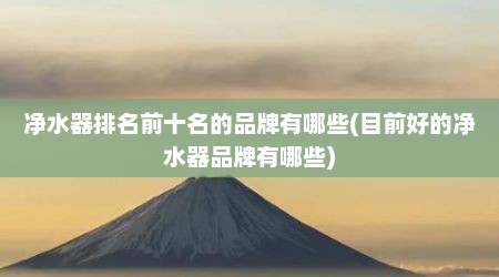 净水器排名前十名的品牌有哪些(目前好的净水器品牌有哪些)
