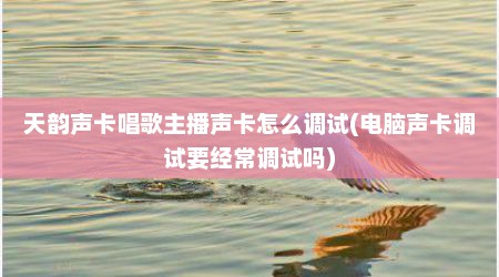 天韵声卡唱歌主播声卡怎么调试(电脑声卡调试要经常调试吗)
