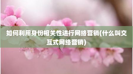 如何利用身份相关性进行网络营销(什么叫交互式网络营销)