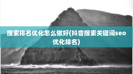 搜索排名优化怎么做好(抖音搜索关键词seo优化排名)