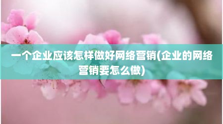 一个企业应该怎样做好网络营销(企业的网络营销要怎么做)
