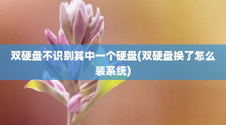 双硬盘不识别其中一个硬盘(双硬盘换了怎么装系统)