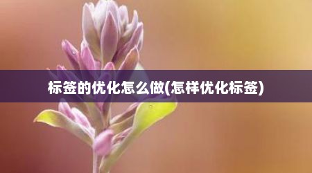 标签的优化怎么做(怎样优化标签)