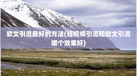 软文引流最好的方法(短视频引流和软文引流哪个效果好)
