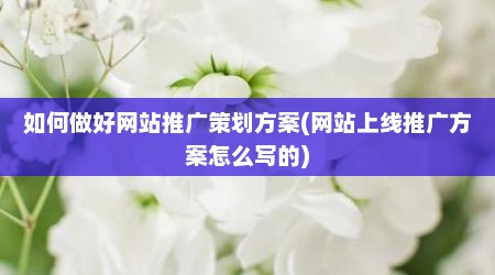 如何做好网站推广策划方案(网站上线推广方案怎么写的)