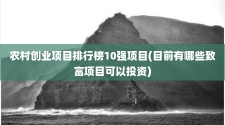 农村创业项目排行榜10强项目(目前有哪些致富项目可以投资)