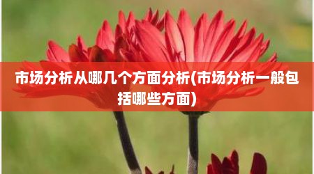 市场分析从哪几个方面分析(市场分析一般包括哪些方面)