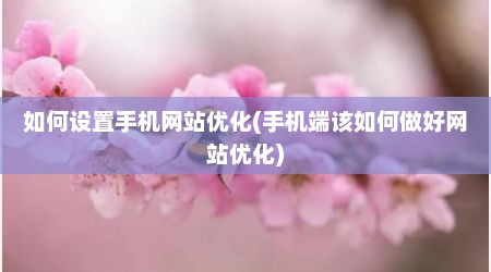 如何设置手机网站优化(手机端该如何做好网站优化)