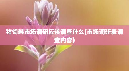 猪饲料市场调研应该调查什么(市场调研表调查内容)
