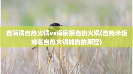 自嗨锅自热火锅vs海底捞自热火锅(自热米饭或者自热火锅加热的原理)
