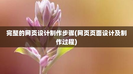 完整的网页设计制作步骤(网页页面设计及制作过程)