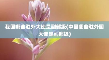 我国哪些驻外大使是副部级(中国哪些驻外国大使是副部级)