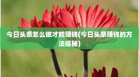 今日头条怎么做才能赚钱(今日头条赚钱的方法揭秘)