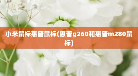 小米鼠标惠普鼠标(惠普g260和惠普m280鼠标)