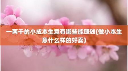 一两千的小成本生意有哪些能赚钱(做小本生意什么样的好卖)