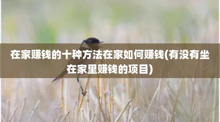 在家赚钱的十种方法在家如何赚钱(有没有坐在家里赚钱的项目)