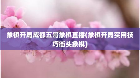 象棋开局成都五哥象棋直播(象棋开局实用技巧街头象棋)
