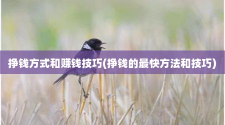 挣钱方式和赚钱技巧(挣钱的最快方法和技巧)