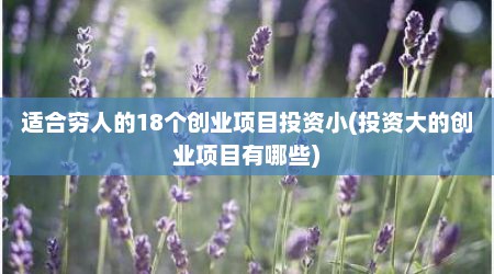 适合穷人的18个创业项目投资小(投资大的创业项目有哪些)