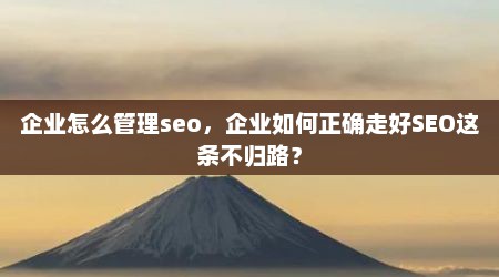 企业怎么管理seo，企业如何正确走好SEO这条不归路？