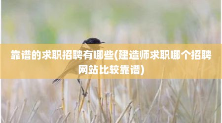 靠谱的求职招聘有哪些(建造师求职哪个招聘网站比较靠谱)
