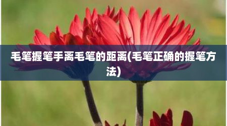 毛笔握笔手离毛笔的距离(毛笔正确的握笔方法)
