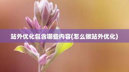站外优化包含哪些内容(怎么做站外优化)