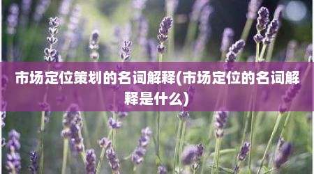 市场定位策划的名词解释(市场定位的名词解释是什么)