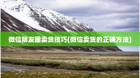 微信朋友圈卖货技巧(微信卖货的正确方法)