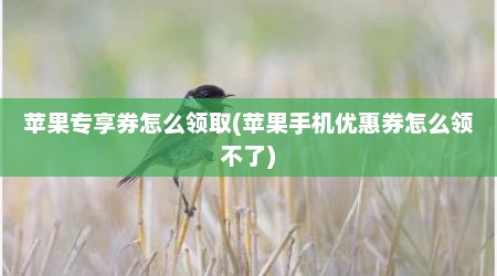 苹果专享券怎么领取(苹果手机优惠券怎么领不了)