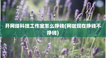开网络科技工作室怎么挣钱(网咖现在挣钱不挣钱)