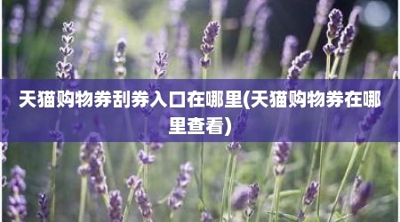 天猫购物券刮券入口在哪里(天猫购物券在哪里查看)