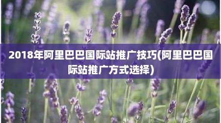 2018年阿里巴巴国际站推广技巧(阿里巴巴国际站推广方式选择)