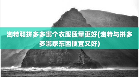 淘特和拼多多哪个衣服质量更好(淘特与拼多多哪家东西便宜又好)